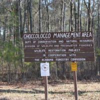 56,838 acres Choccolocco WMA for Turkey hunting in Alameda, AL images 3