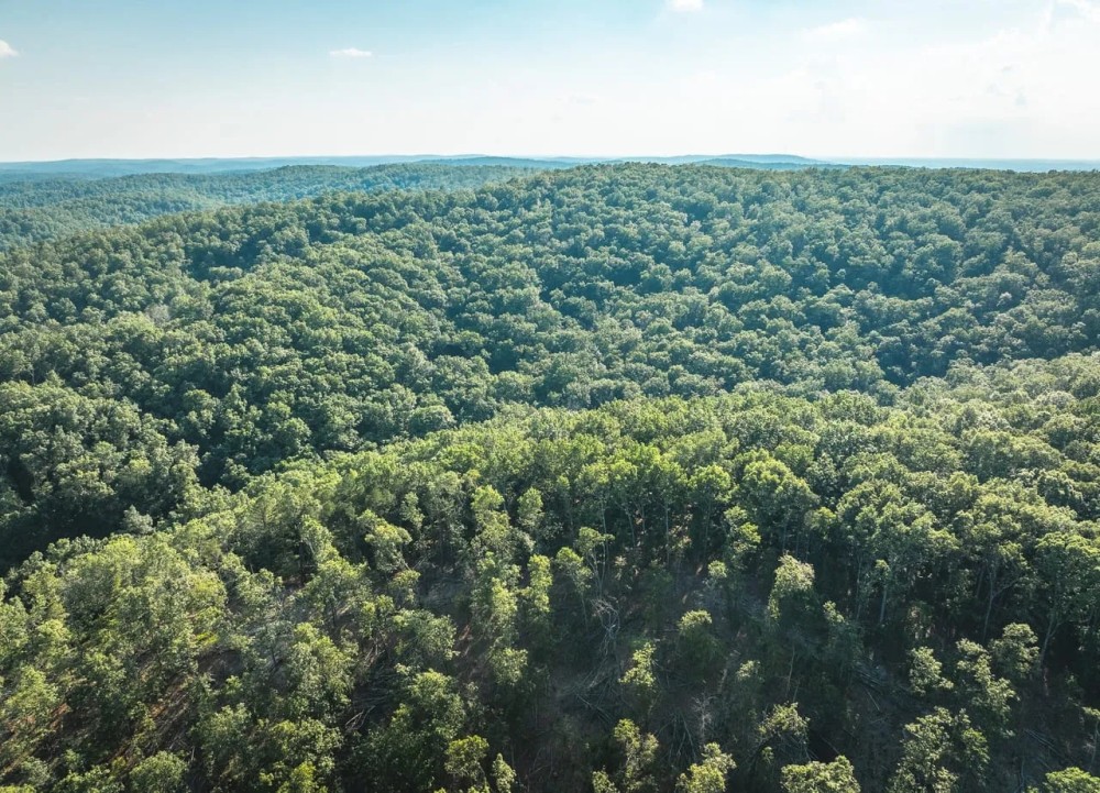Aldrich Valley Acres featured image