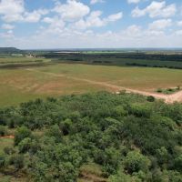 New Listing 15 - Acres Taylor County Tract 5 images 2