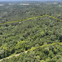 28 Acres T-2 Lick Skillet Road