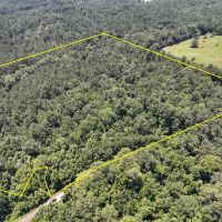 28 Acres T-2 Lick Skillet Road images 2