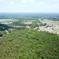 4.39 acre Versatile Homesite For Sale in Sussex County VA images 5