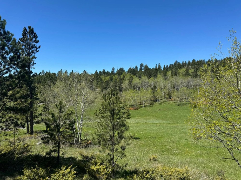 Boles Canyon featured image