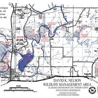 David K. Nelson WMA - 8,308 acres for hunting Turkey in Sumter, AL images 2