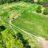 Escape to Tranquility in this Stunning 4-Bedroom Jackson County WI images 4