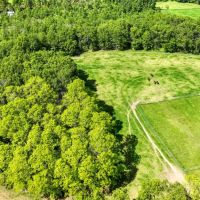 Escape to Tranquility in this Stunning 4-Bedroom Jackson County WI images 5