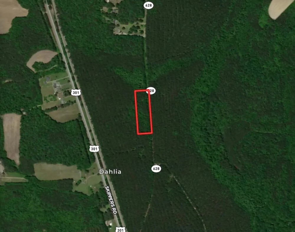 3 acres for a Custom Home Site in Greensville County VA featured image