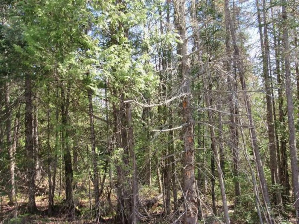 Recreational 6 Acre Parcel 50143060 featured image