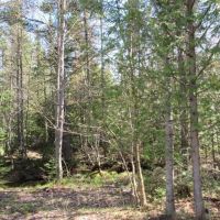 Recreational 6 Acre Parcel 50143060 images 2