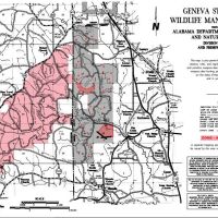 Geneva State Forest WMA of 16,093 acres for Turkey hunting in Geneva, AL images 2