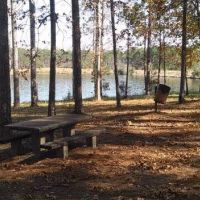 Geneva State Forest WMA of 16,093 acres for Turkey hunting in Geneva, AL images 3