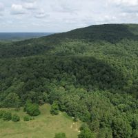 Finley Mountain 50 images 2