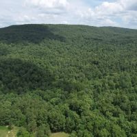 Finley Mountain 50 images 4