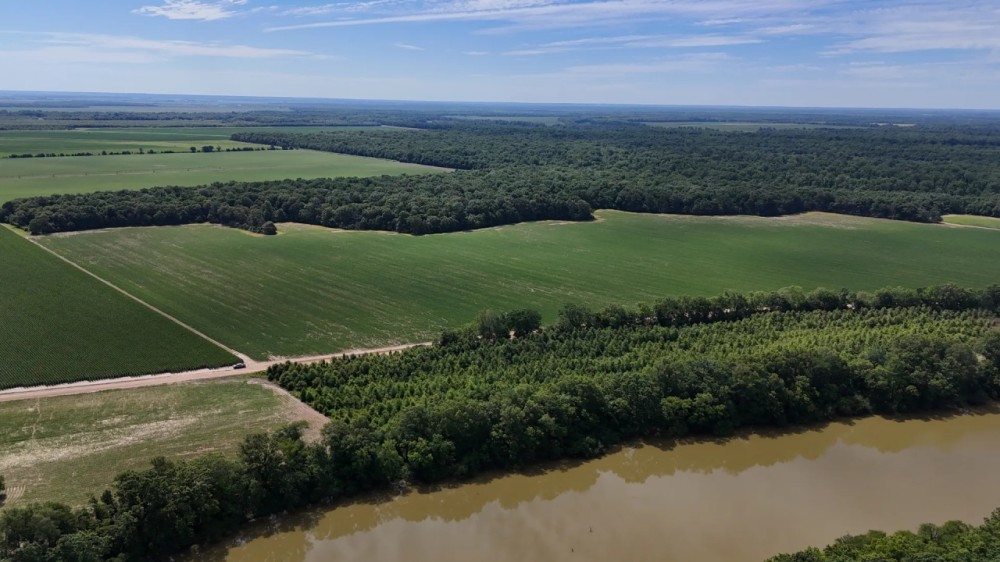 166.8 Acres in The Mississippi Delta Leflore County featured image