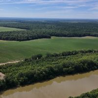 166.8 Acres in The Mississippi Delta Leflore County images 4