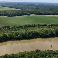 166.8 Acres in The Mississippi Delta Leflore County images 5