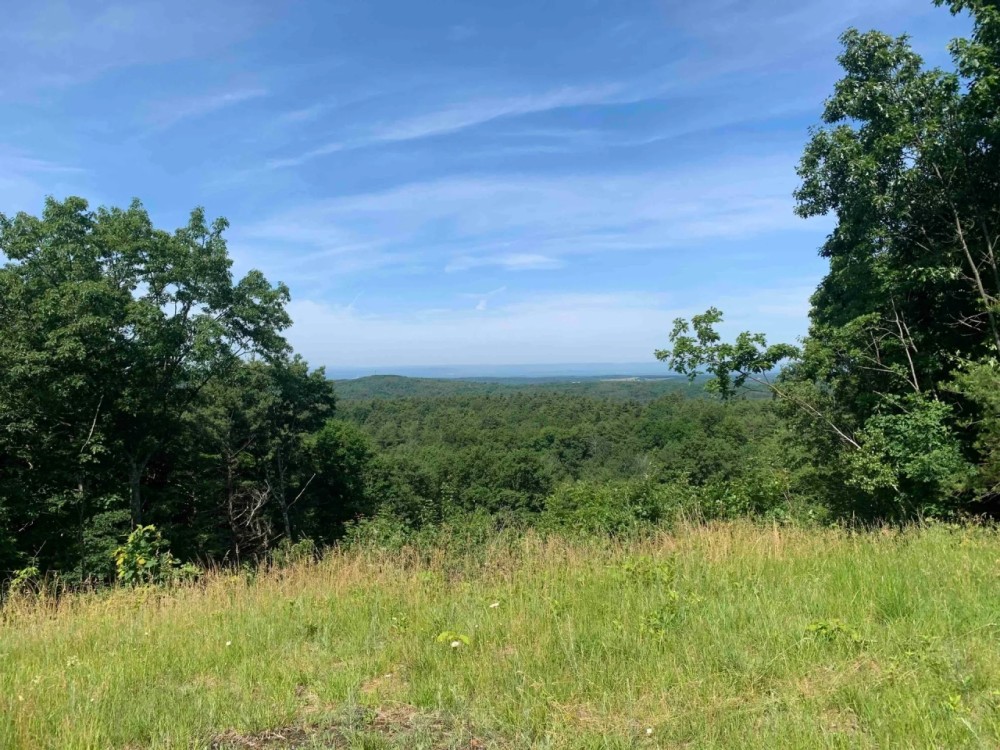 105 acres Development Potential and Recreational Land with Catskill Mountain Views in Nassau NY Dusenberry Hill Rd featured image