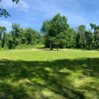 105 acres Development Potential and Recreational Land with Catskill Mountain Views in Nassau NY Dusenberry Hill Rd images 3