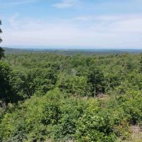 105 acres Development Potential and Recreational Land with Catskill Mountain Views in Nassau NY Dusenberry Hill Rd images 5
