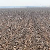 Texas Farm Land For Sale in Wall Texas
