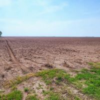 Texas Farm Land For Sale in Wall Texas images 3