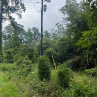 000 Cooper Church Road Leesville Louisiana images 2
