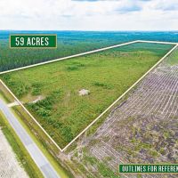 59-Acre Hunting and Timberland Tract on East River Road images 3
