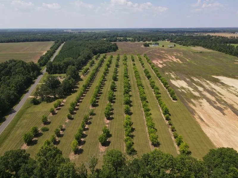 Montgomery Farm featured image