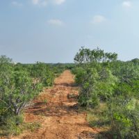 Plesanton Acerage images 5