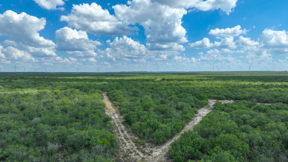 Blackbrush Hill Ranch featured image