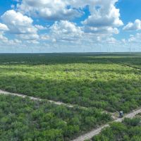 Blackbrush Hill Ranch images 5