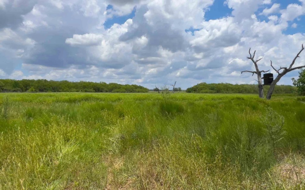 Live Oak County Nueces River Cove Ranch NW of Mathis featured image