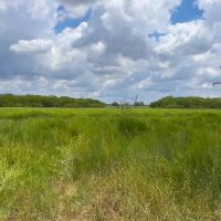 Live Oak County Nueces River Cove Ranch NW of Mathis