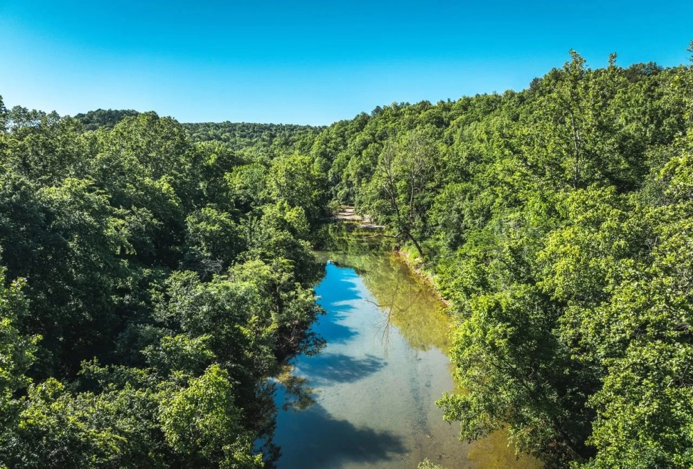 Big Bucks on Big Creek featured image