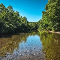 Big Bucks on Big Creek images 2