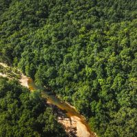 Big Bucks on Big Creek images 4