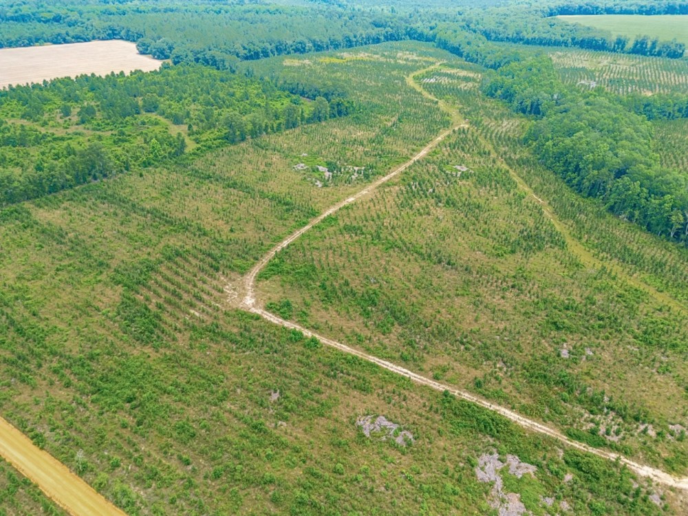 Prime Land for Home Hunting and Investment featured image