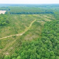 Prime Land for Home Hunting and Investment images 4