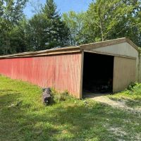 LAND FOR SALE - 9.6 - ACRES- WOODS - PASTURE - OSGOOD INDIANA - RIPLEY COUNTY images 3