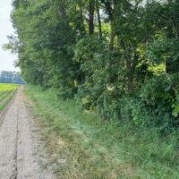 LAND FOR SALE - 9.6 - ACRES- WOODS - PASTURE - OSGOOD INDIANA - RIPLEY COUNTY images 4