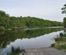 Bear Rock Lakes WMA - 242 acres tract for Deer & Turkey hunting in Marshall, WV