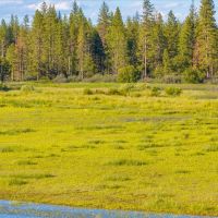 Black Ranch images 5