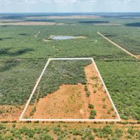 Charlotte Secluded Acreage