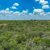 Charlotte Secluded Acreage images 5