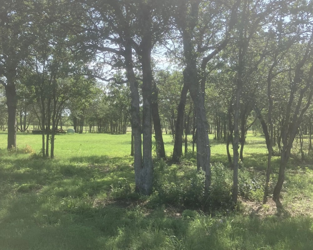 New Listing 24 - Acres Callahan County featured image