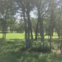 New Listing 24 - Acres Callahan County