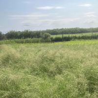 New Listing 24 - Acres Callahan County images 3