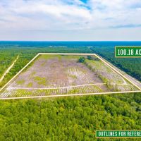Scotland Rd Hunting and Investment tract images 2