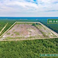Scotland Rd Hunting and Investment tract images 4