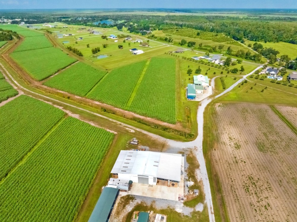 RIDGELAND FARMS - 1 800 Acres in Terrebonne Parish LA featured image